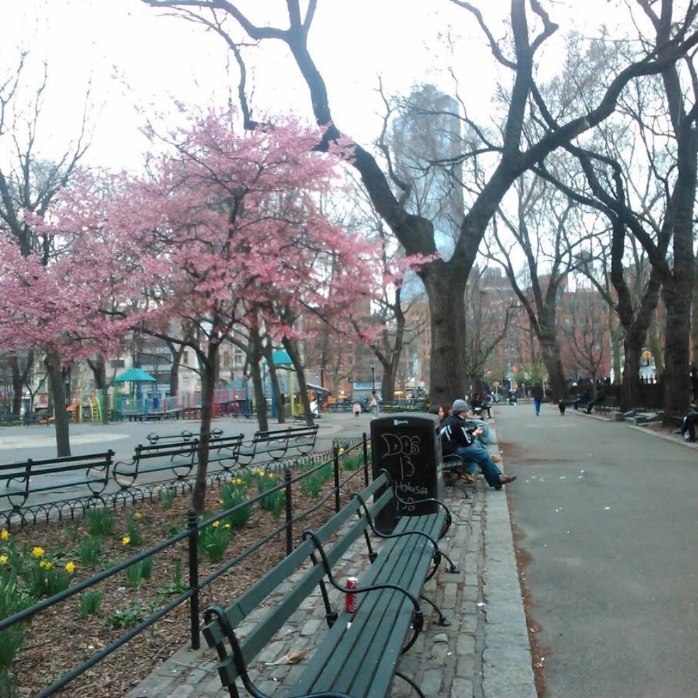 Meet your Posher, Lizzy